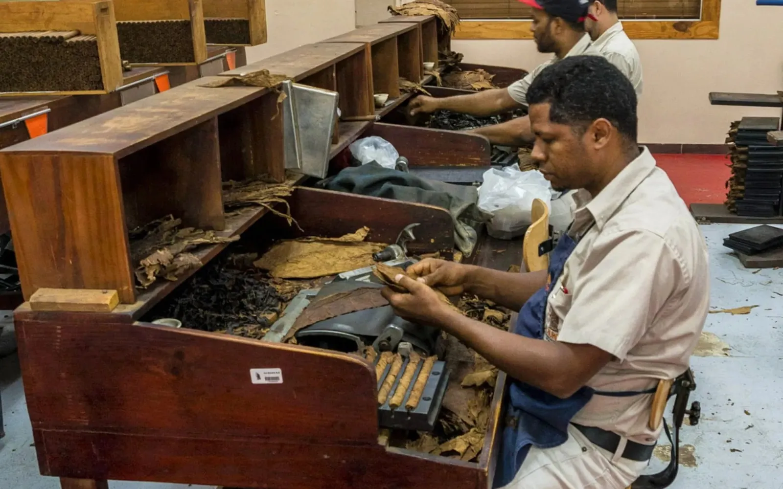 Handarbeit in der Zigarrenmanufaktur La Aurora in Santiago