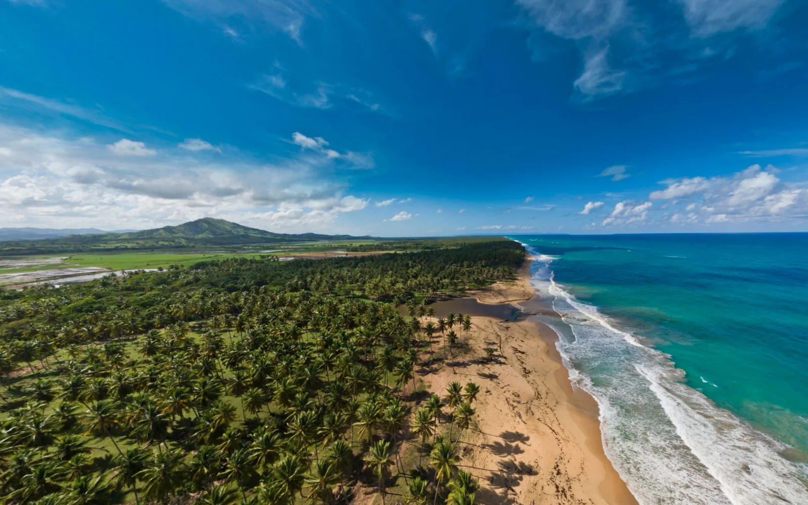 Luftaufnahme der Playa Limón mit Palmenwald, Strand und Brandung, Dominikanische Republik.