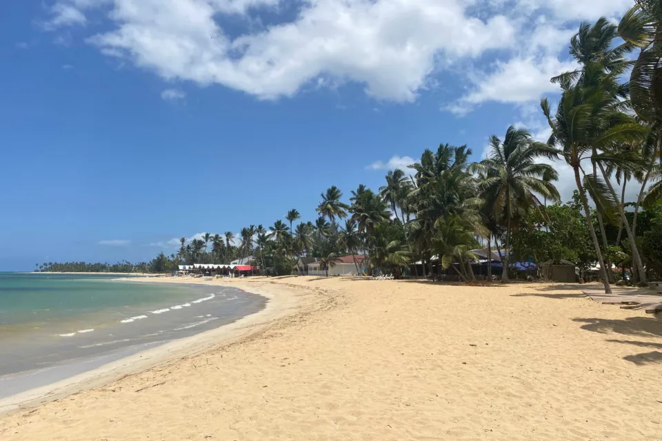 Geschwungener Sandstrand mit Palmen in Las Terrenas auf der Halbinsel Samaná.